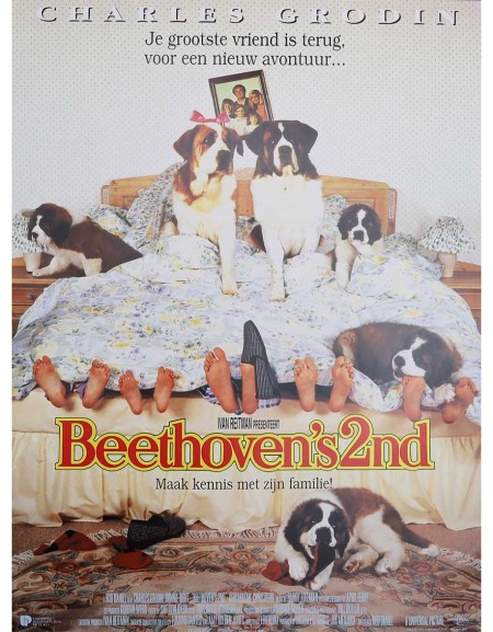 Beethoven 2 - 40x60 cm - roulée