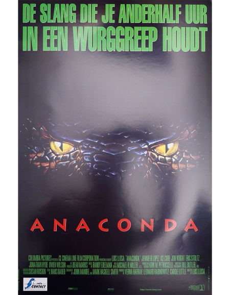 Anaconda, le prédateur - 35x55 cm - roulée