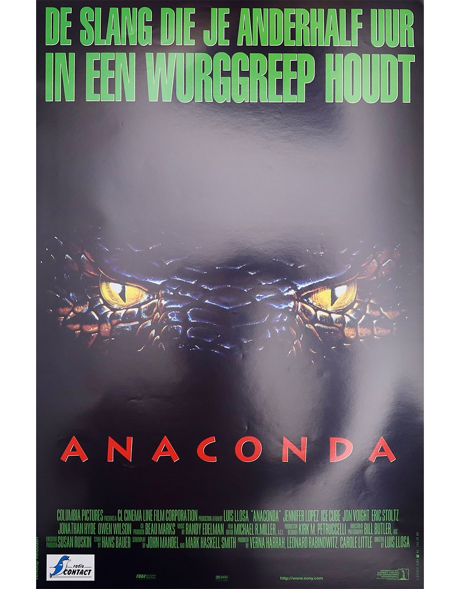 Anaconda, le prédateur - 35x55 cm - roulée