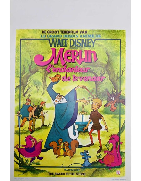 Merlin l'enchanteur - 35x55 cm - roulée