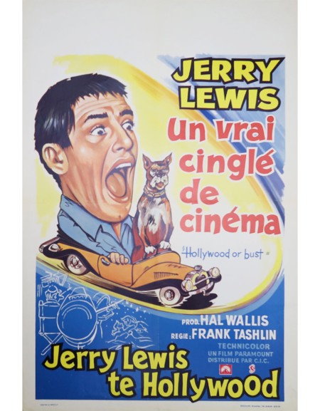 Un vrai cinglé de cinéma - 35x55 cm - roulée