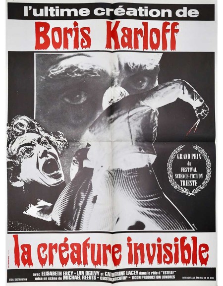 La créature invisible - 60x80 cm - pliée