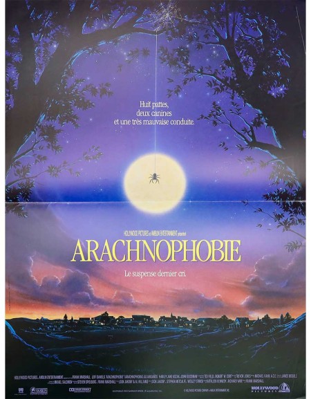 Arachnophobie - 40x53 cm - pliée