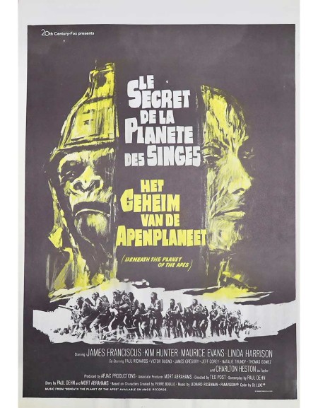 Le secret de la planète des singes - 35x55 cm - roulée