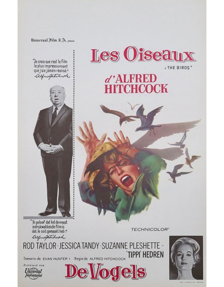 Les Oiseaux — affiche originale belge 35×55 cm (1963) |...