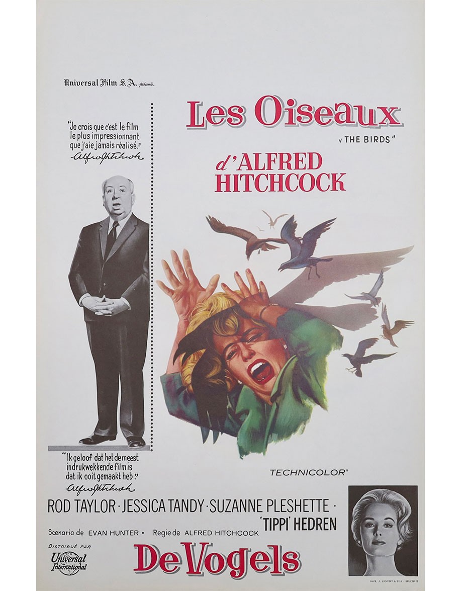 Les Oiseaux — affiche originale belge 35×55 cm...