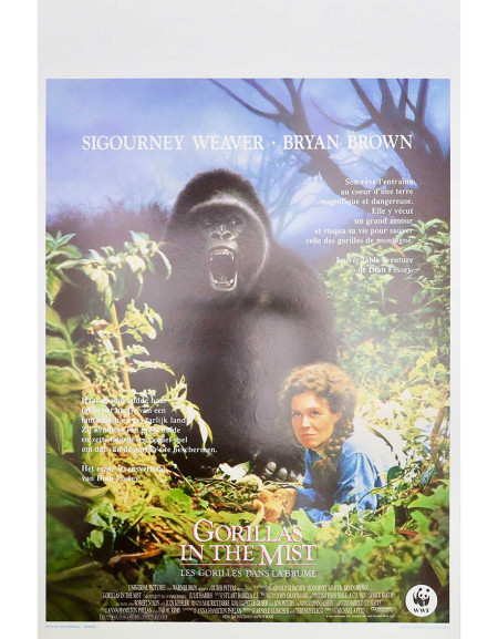Gorilles dans la brume - 35x55 cm - roulée