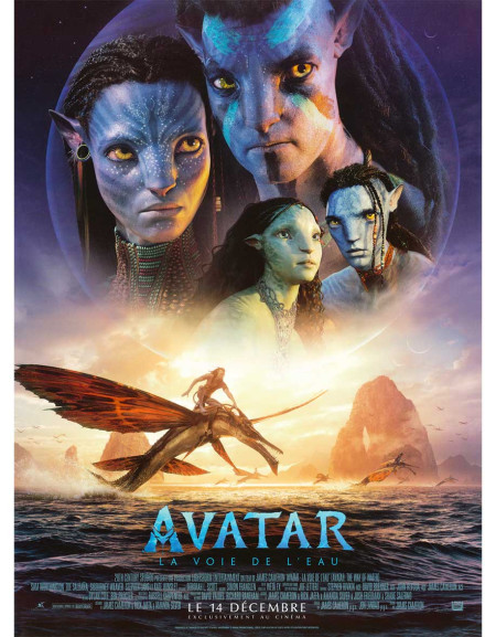 Avatar : La Voie de l'eau — affiche originale française...