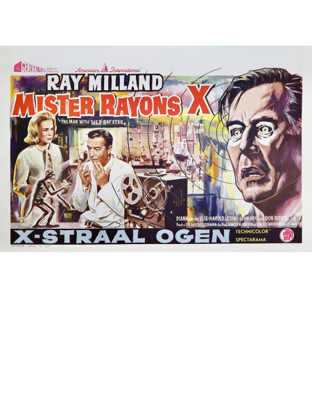 Mister rayons X - 55x35 cm - roulée