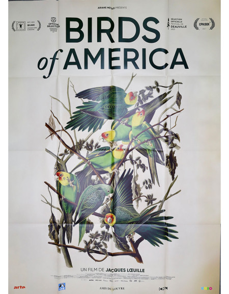 Birds of America - 120x160 cm - pliée