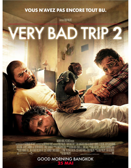 Very Bad Trip 2 - 40x53 cm - pliée