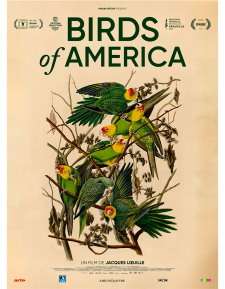 Birds of America - 40x53 cm - pliée