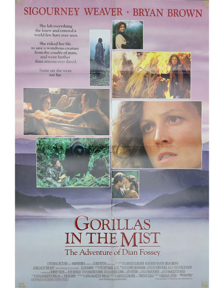 Gorilles dans la brume - 69x104 cm - pliée