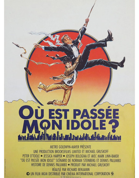 Où est passée mon idole ? - 40x53 cm - pliée