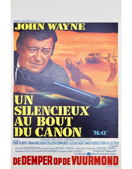 Un silencieux au bout du canon - 35x55 cm - roulée