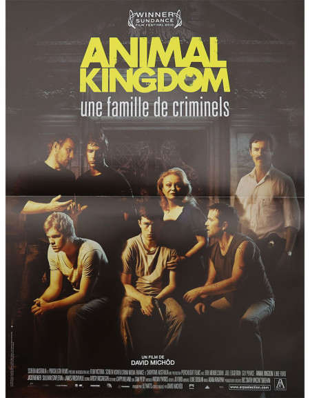 Animal Kingdom - 40x53 cm - pliée