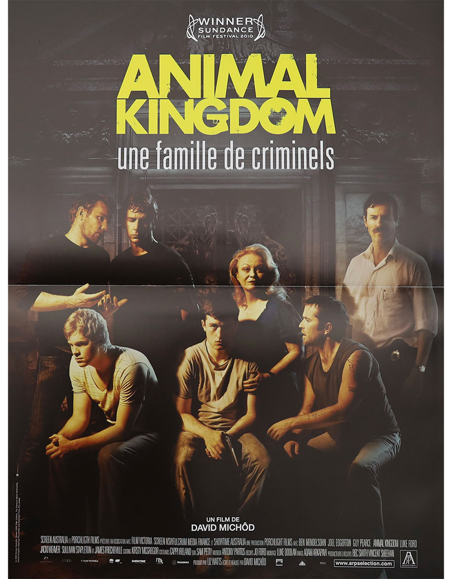 Animal Kingdom - 40x53 cm - pliée