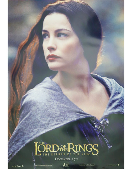 Le Seigneur des Anneaux : Le Retour du Roi - 70x98 cm -...