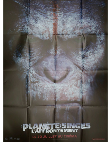 La Planète des Singes : L'affrontement - 120x160 cm - pliée