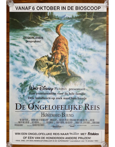 L'incroyable voyage - 70x100 cm - roulée