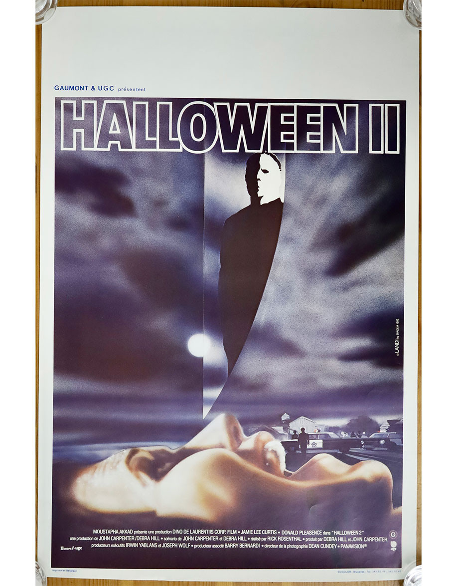Halloween 2 - 35x55 cm - roulée