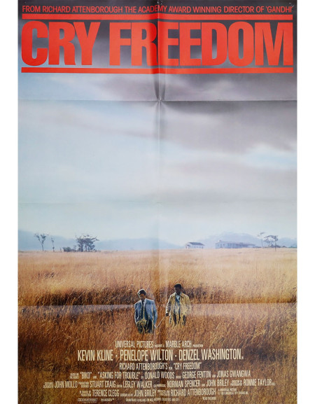 Cry Freedom - 69x104 cm - pliée