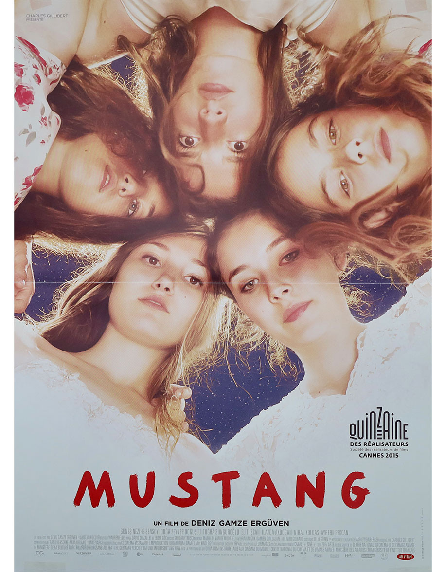 Mustang - 40x53 cm - pliée
