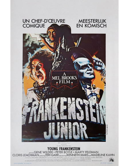 Frankenstein junior - 35x55 cm - roulée