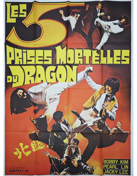 Les 5 prises mortelles du dragon - 120x160 cm - pliée