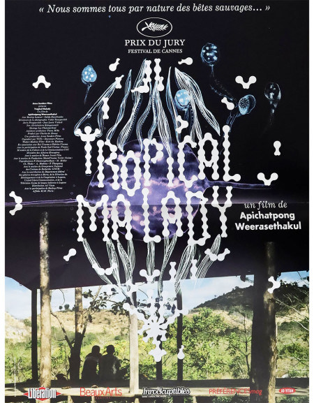 Tropical Malady - 40x53 cm - pliée