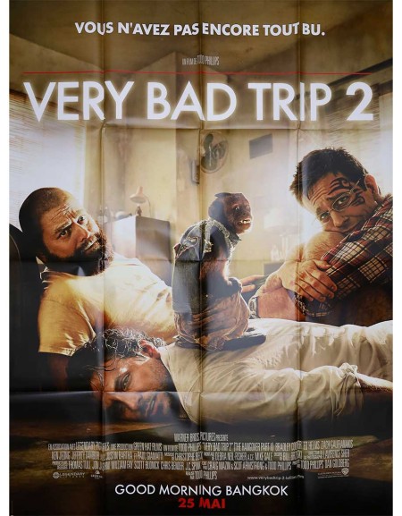 Very Bad Trip 2 - 120x160 cm - pliée