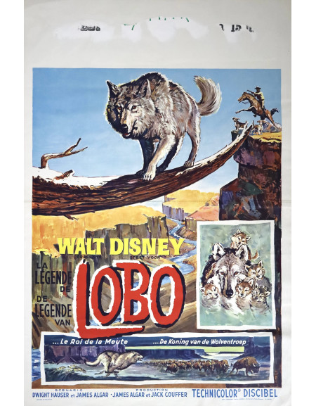 La Légende de Lobo — affiche originale belge 35x55 cm...